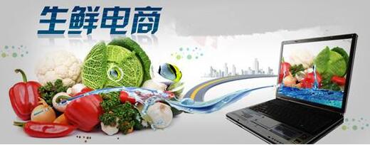 京东生鲜电商