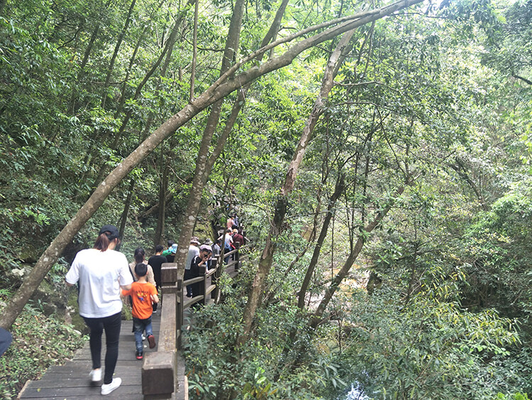 能达货架池州两日游